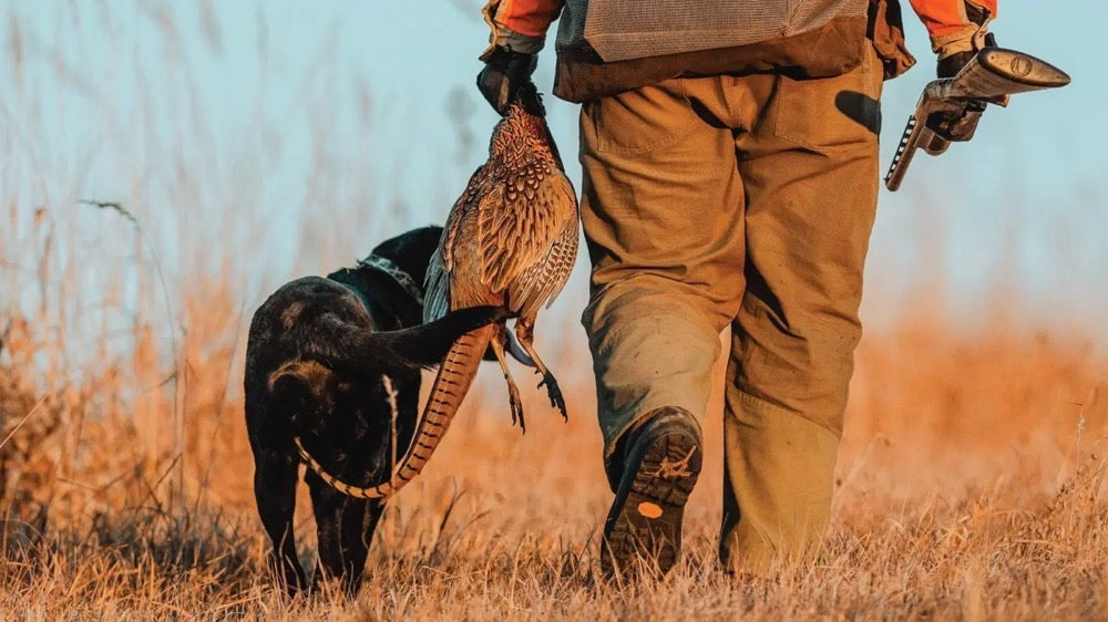 Enhance Your Hunting Experience with Talkpod Radios