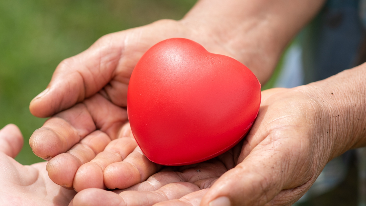 Talkpod and Nan'an Young Entrepreneurs Extend Aid to Victims of Hong Kong Fire Disaster