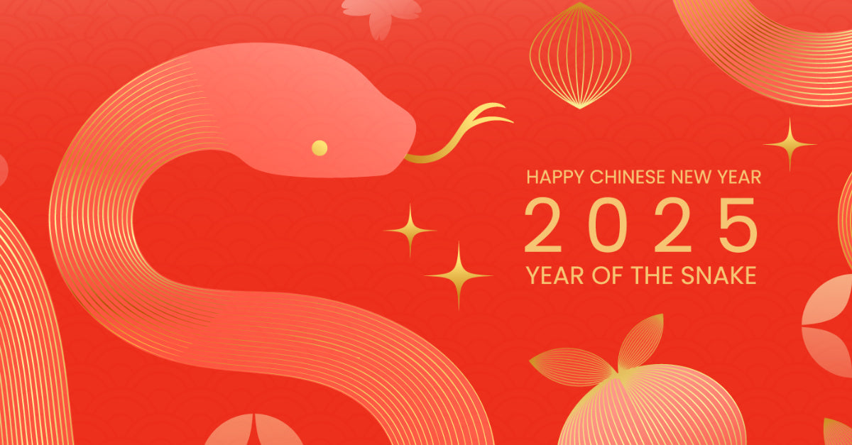 2025 Chinese New Year Holiday Notice from Talkpod